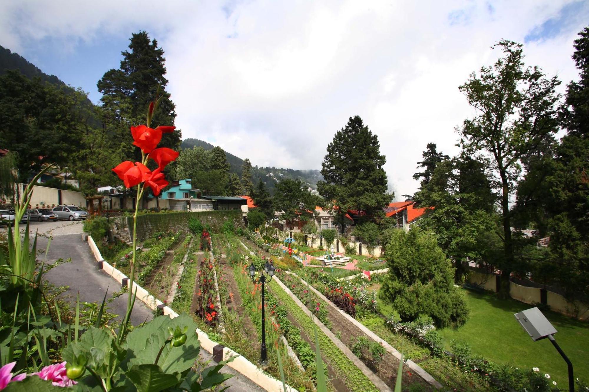 Shervani Hilltop Resort Nainital Exteriér fotografie